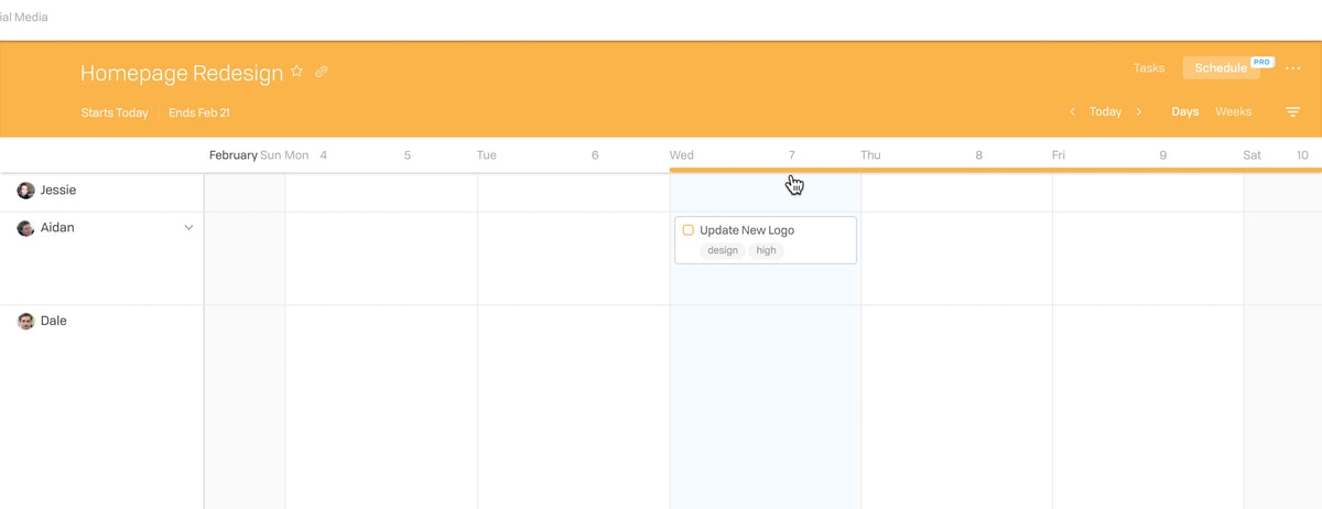 Project Timelines New 4
